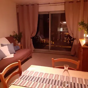 Front De Neige Wifi Le Tyrol 4 Personnes Apartment
